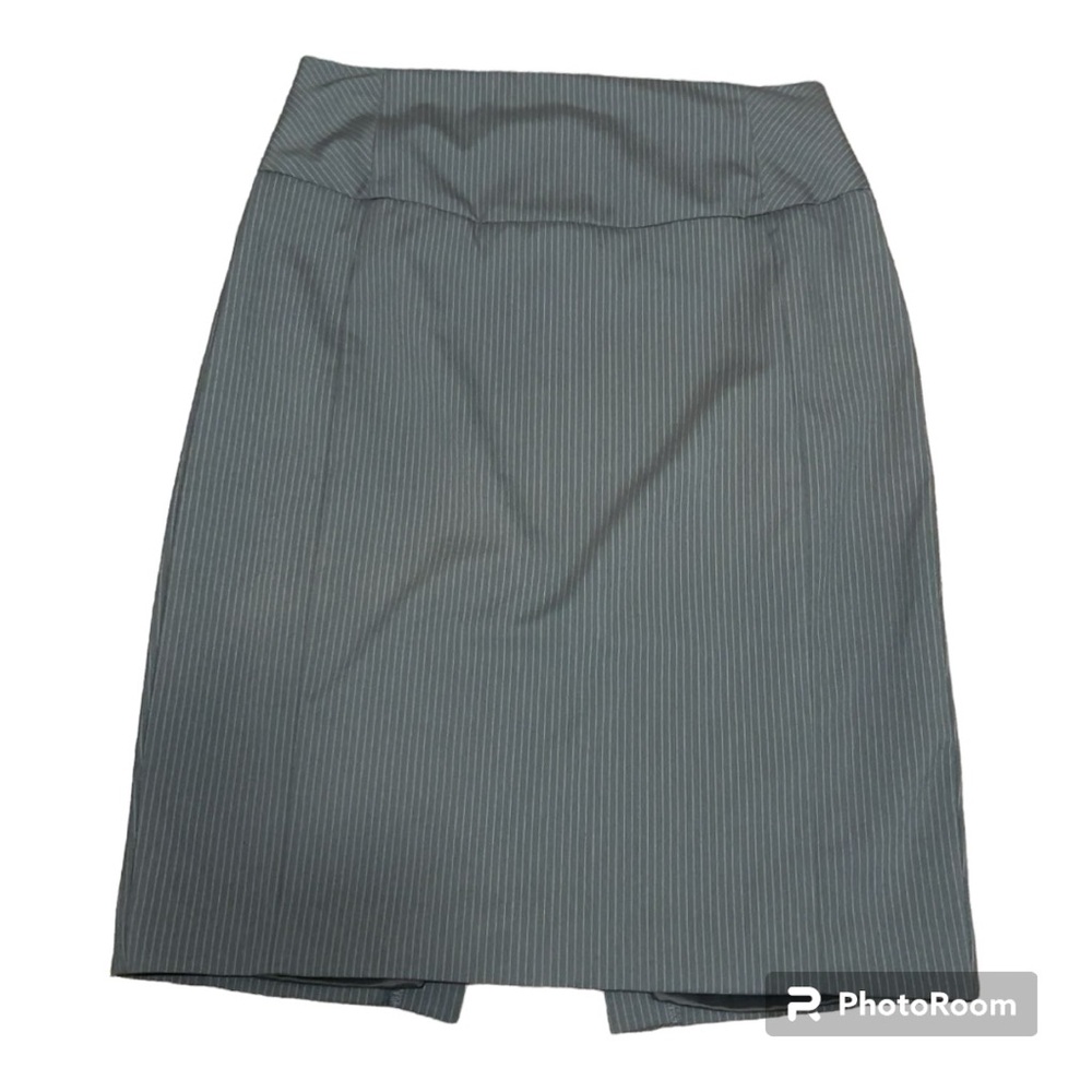 Express Skirt